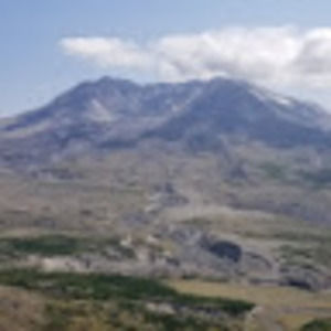 Meet your Posher, Venus